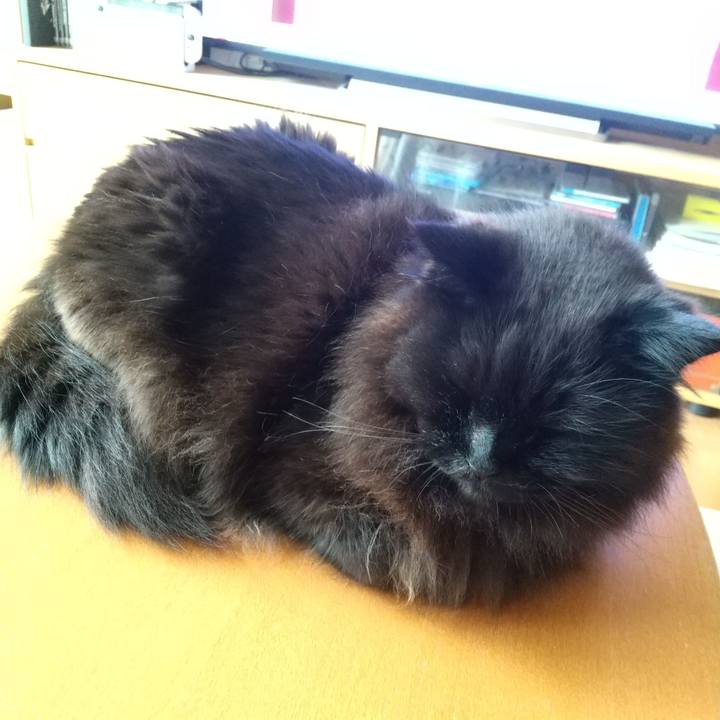 2144ea37 51f2 4271 9e37 ddb4910e15cc 1653467032096