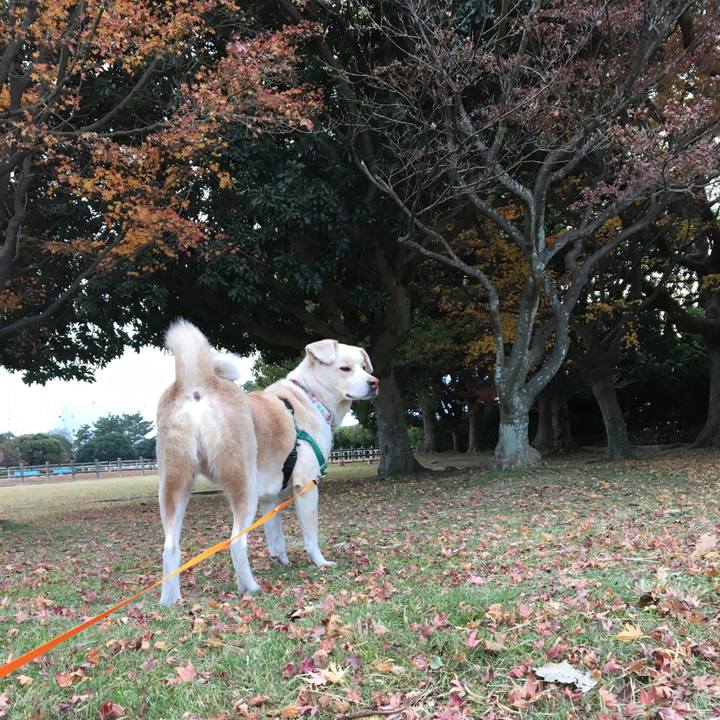 2144f115 aff7 4c9c bfe5 862204d08514 1514102098010