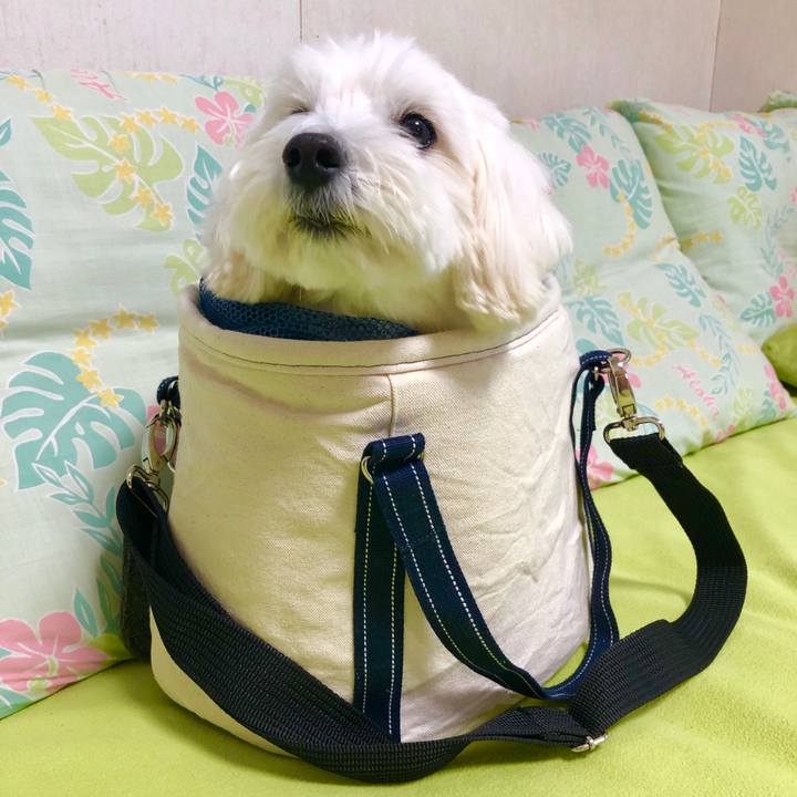 2144fd1f 5181 495f aee3 65925e2e7c8a 1573380158498