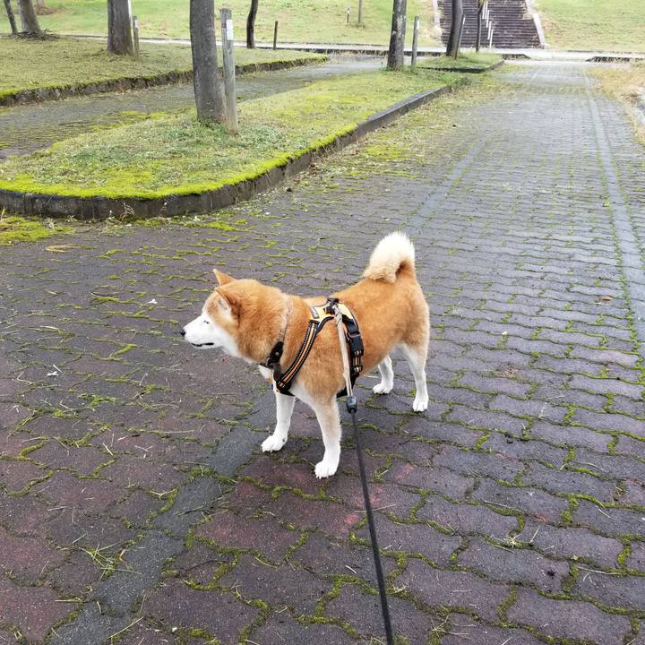 21452518 81aa 4622 a715 885780f5f6d5 1663905758019