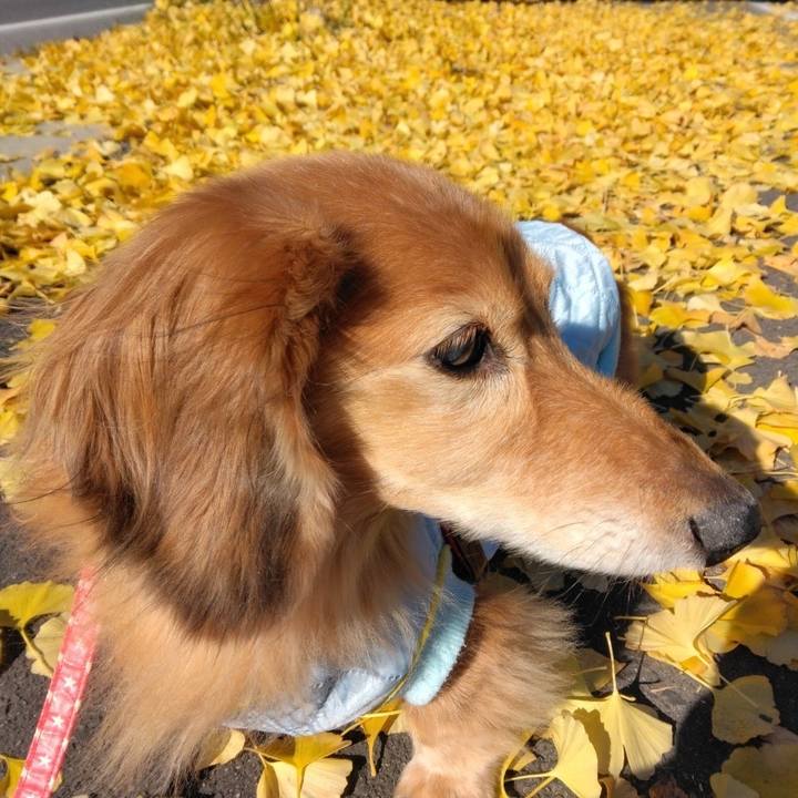 21452b6d 037f 4a3a a7a0 96fbf4956270 1671448594110