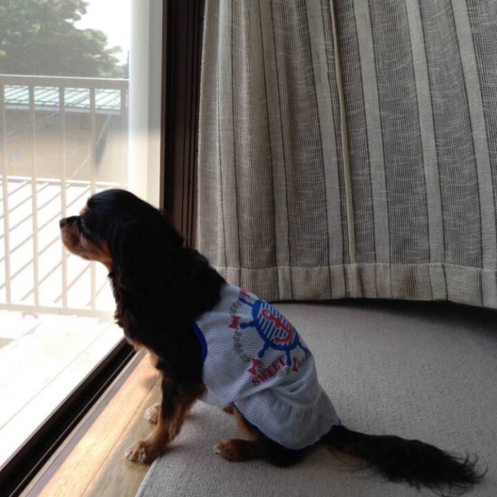 2145314a 0171 4059 980e d909313144a6 1546143305245