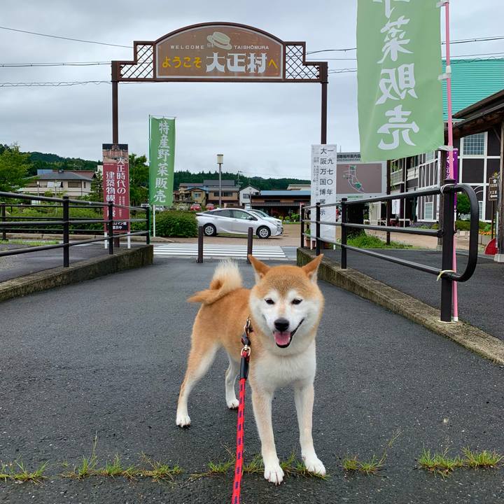 21455c0b ec29 4763 9d44 2b2557ca6c4f 1657621876005