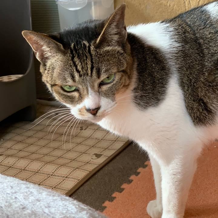 21458303 0c04 4550 9741 a0af55a0951c 1571620907904