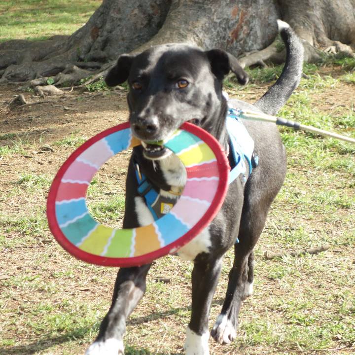 2145f8d0 2e1d 4e1f 8769 7361baa332ce 1712880676283