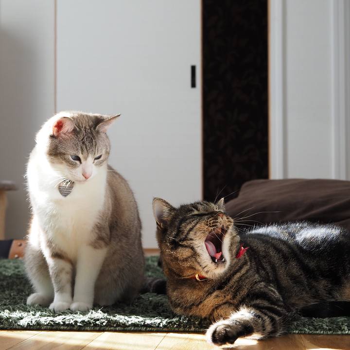 21461c26 a9ca 4b4b 9ced 3e7222d44b1a 1607851356575