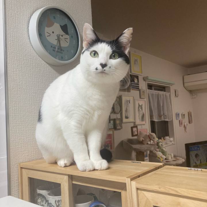 21467b78 625a 4872 906f bbebdd8bb7d6 1767904306993