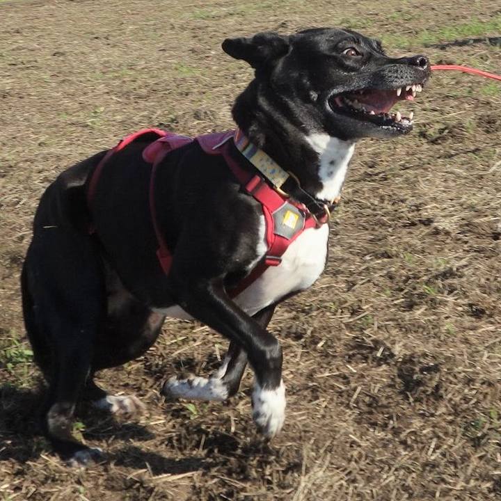 21469447 7cfe 4fc4 8afb 83207ce7e22e 1697763471307