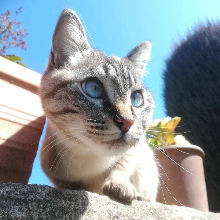 2146d4a5 54fe 4152 bbfa 6b80f3969dd2 1518919981708