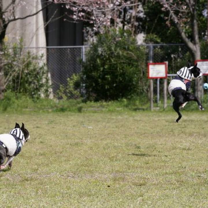 2146f59d a9a5 4ac2 8aae 4feb287bc3a3 1554014412311