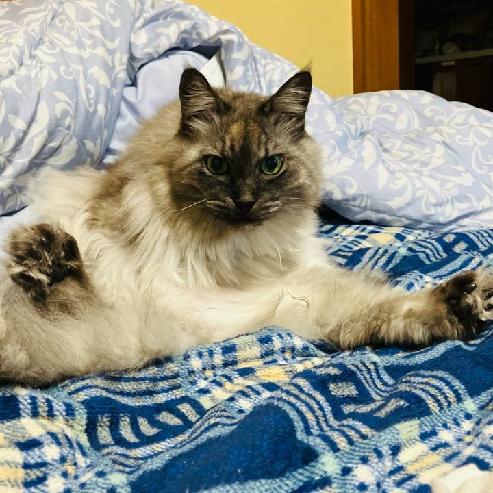 2147011f 22bc 49fd bf4a 51dba398f063 1738462470649