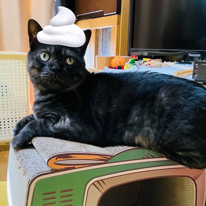 21471cea 2b88 44a7 8ffd 5b2fa7204e60 1739011252577