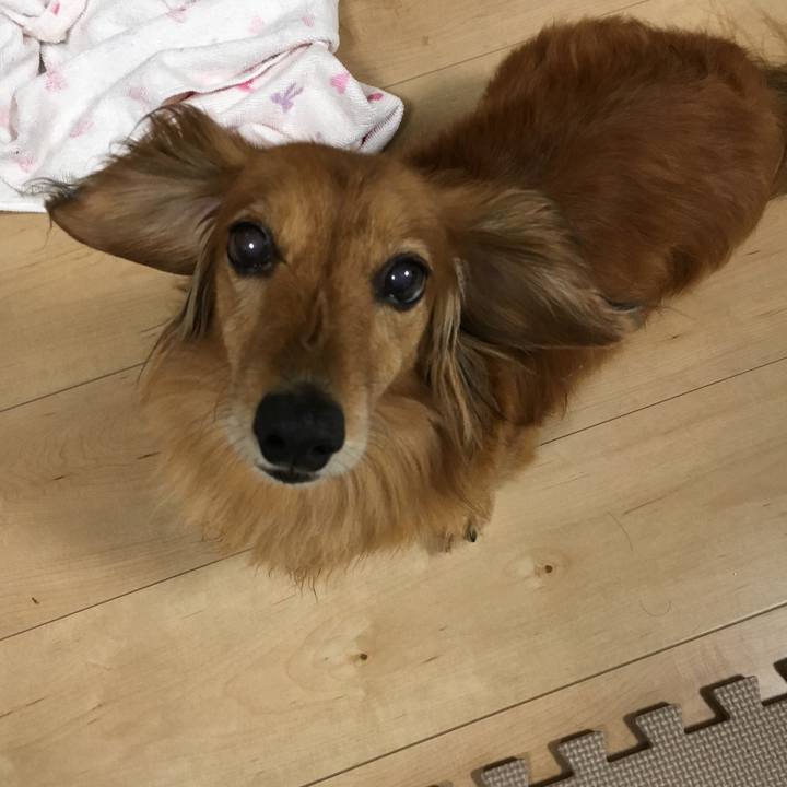 21472f7e eb64 41b3 8381 89a62ce57792 1562078757505