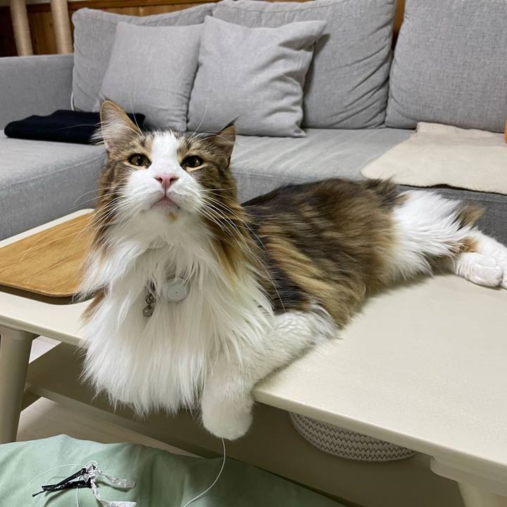 214732dc 5938 40d1 8234 f24fb79862f0 1673985972462