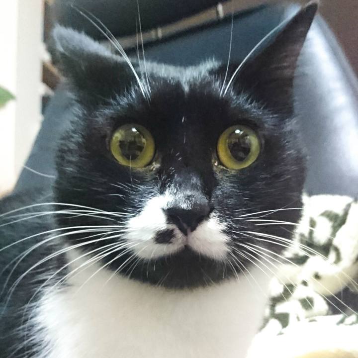 2147515b ccd5 48ae 8973 5111b67bdefa 1508167605706