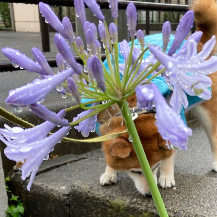 21475fb6 fe47 4e78 b5ca 3bc95cb764bc 1686446023378