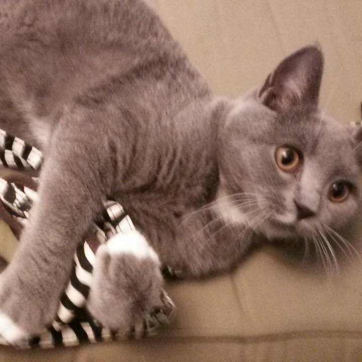 214780f3 73fa 49b4 8bb6 3ca9dc75fa31 1539298016261