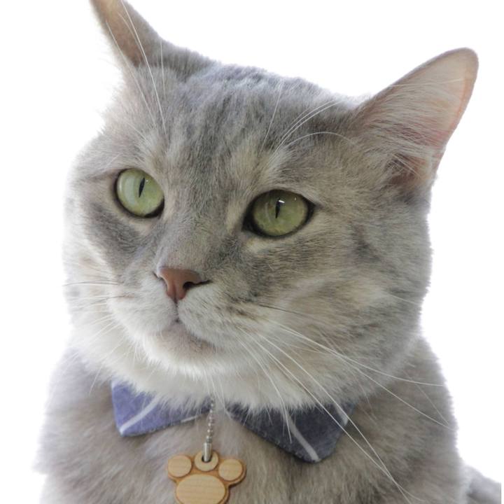 214791c1 32cf 4099 9a4b b3a22d1783c2 1592454607238