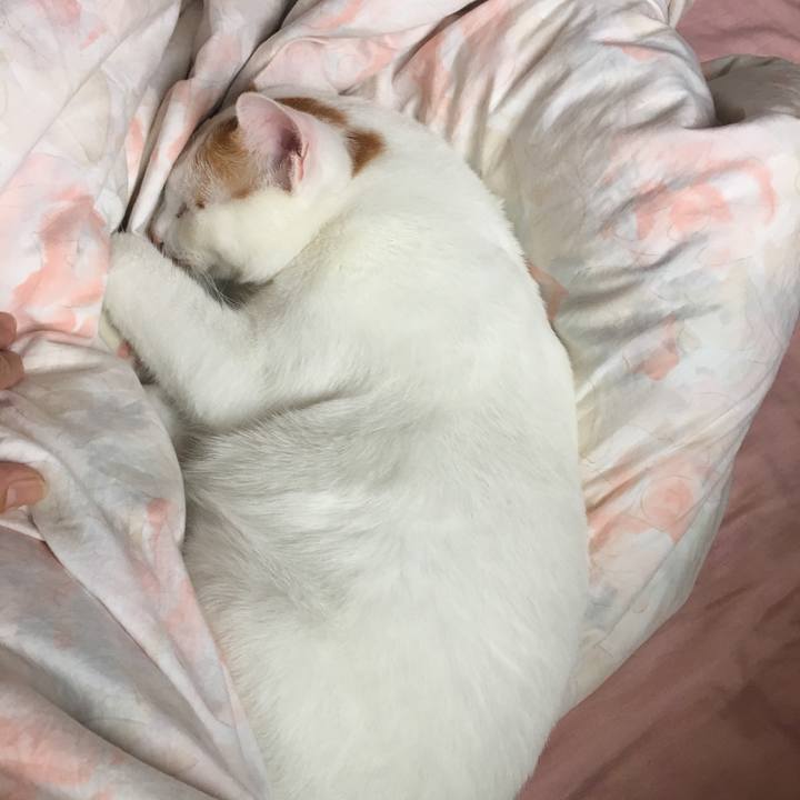 2147ade9 5572 4470 bb51 306f3f96db58 1527348203939