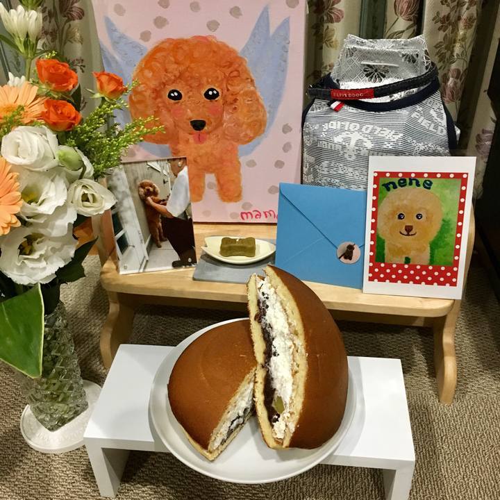 2147cf00 7d3c 4662 8712 147235116c97 1535885132918