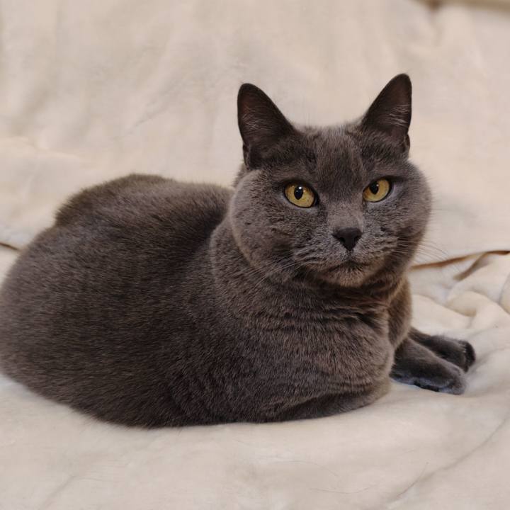 2147eb06 9e7b 4df1 ba02 a65e14ac6ffb 1767962228790