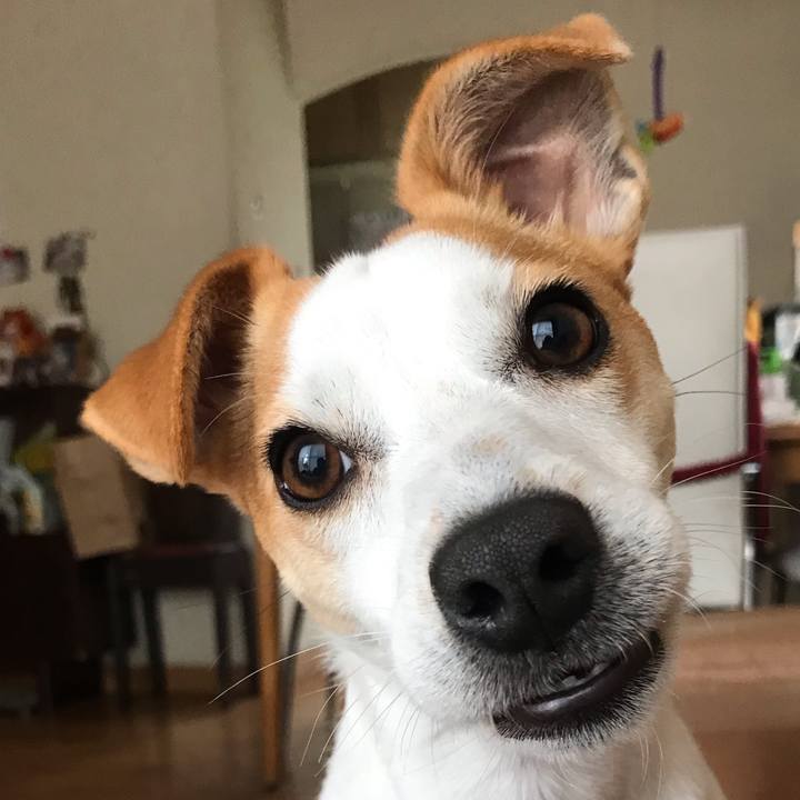 2147ff4f 9c94 4eca 8010 66e4510fe954 1581667295093