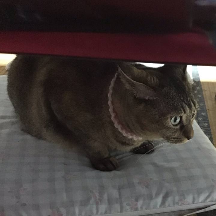 21480911 7517 4359 bfae 999f4ec87f39 1695641662012