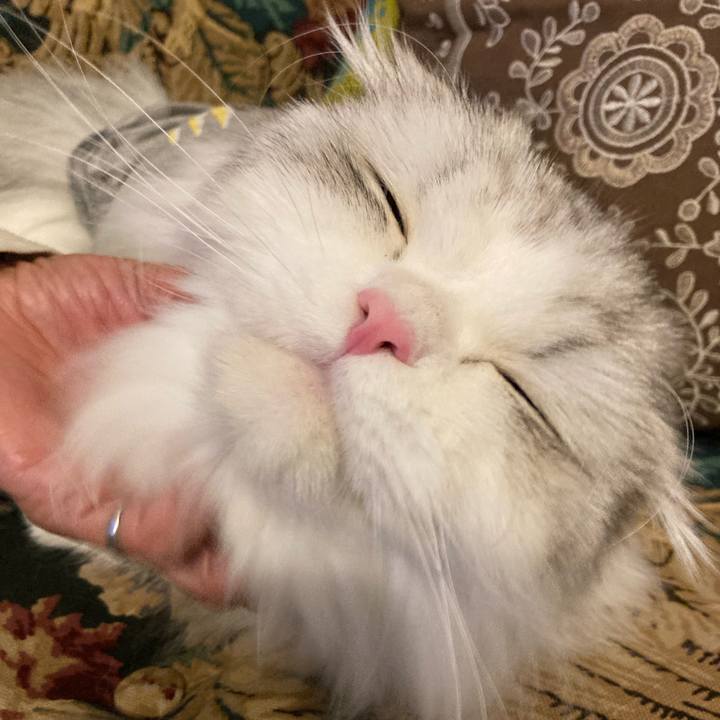 21481462 deb6 4076 99a1 be1b9b285202 1635075379532