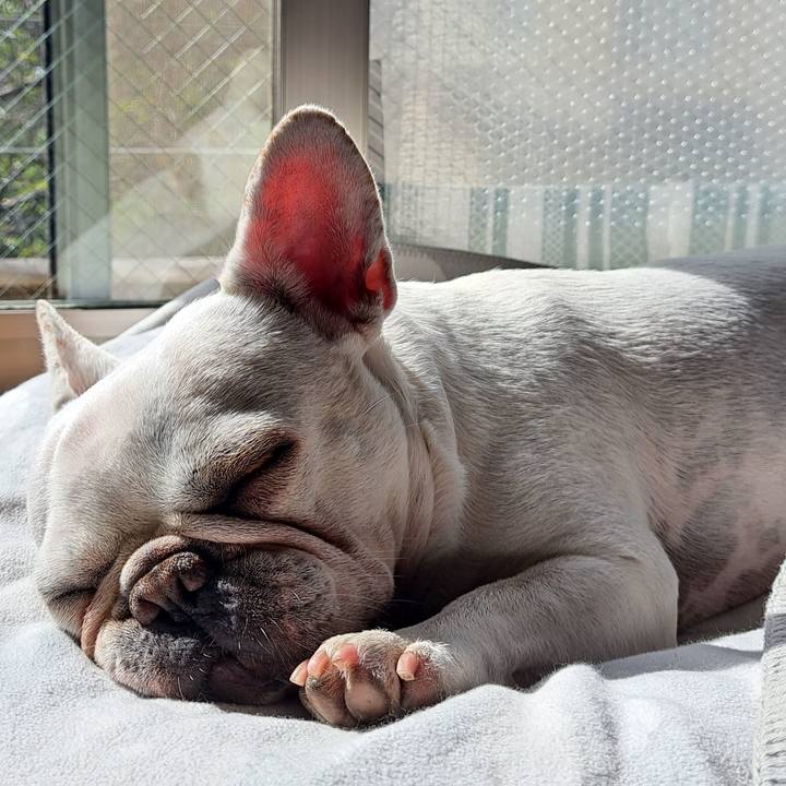 21485609 e266 4333 94dc a5d0123b7995 1699232426340