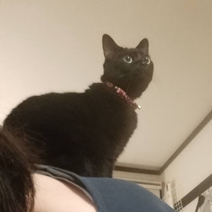 214895f7 0772 44a1 99e8 efd76677a261 1639660784870