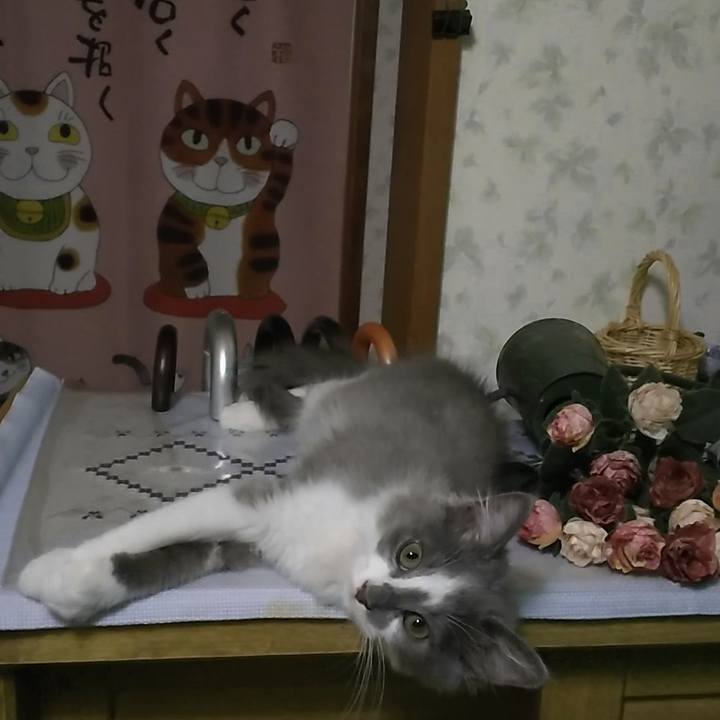 2148d15b 4664 439e ad8a 63f4a0ec2bea 1564279524539