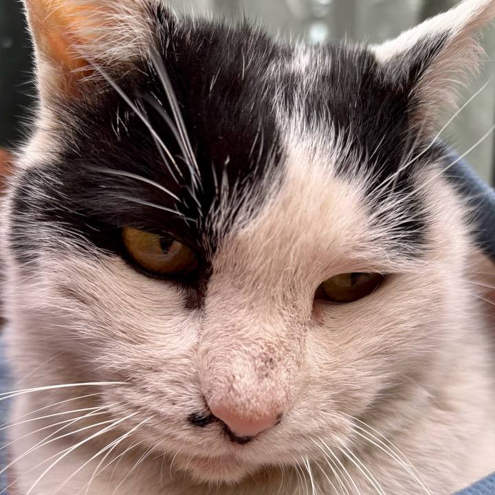 2148ff92 7cb4 42dc a867 9d697bf60f91 1770453691296