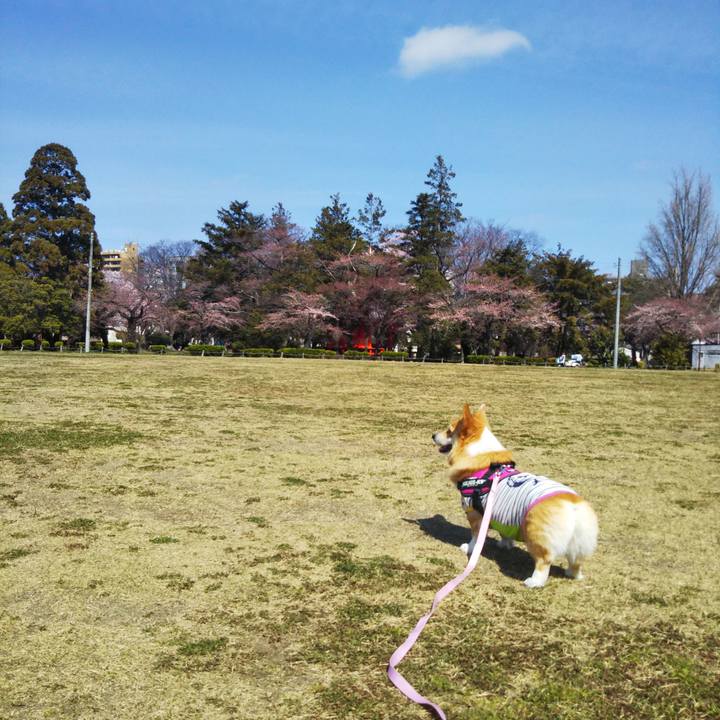 214978b1 d866 467b 8743 2ca24027e20f 1585623974174