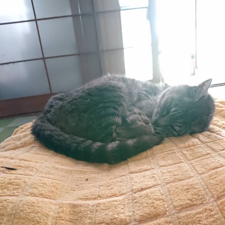 21498bcc 1d7d 4bf4 a6ec 020b16d3cddd 1595133811422