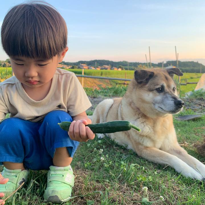 214991f4 f9f4 498c ade5 ef2402b1b464 1627125003451