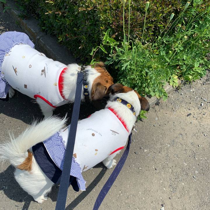 21499e89 d3f0 4fa1 9185 a2c5d101bbf3 1588408987974