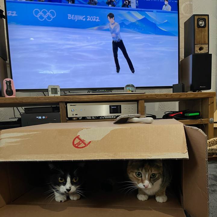 2149d3c0 bedf 45c6 82d3 13c114453ee3 1644463975465