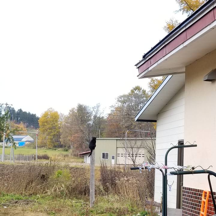 2149ee0a ec7e 410b 9fef b6af5ebb49da 1572580794092