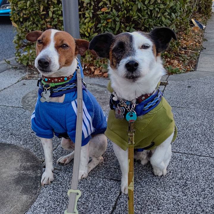 214a2e1d 463a 4fc7 a007 cb242e97b96a 1645483715637