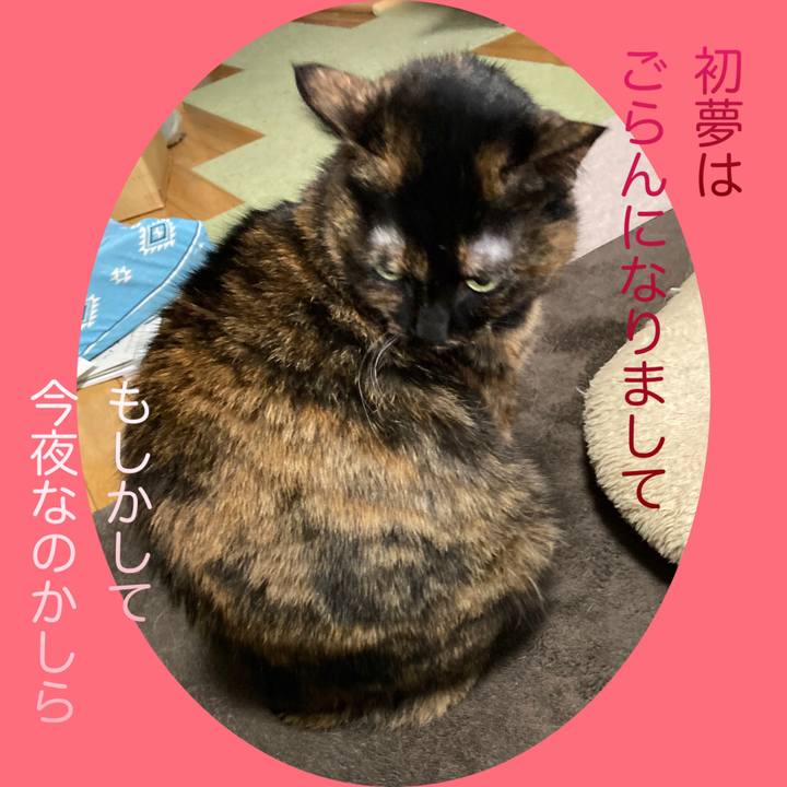 214a402e 0541 419c a81a bdb6bc2d2a17 1704156274147