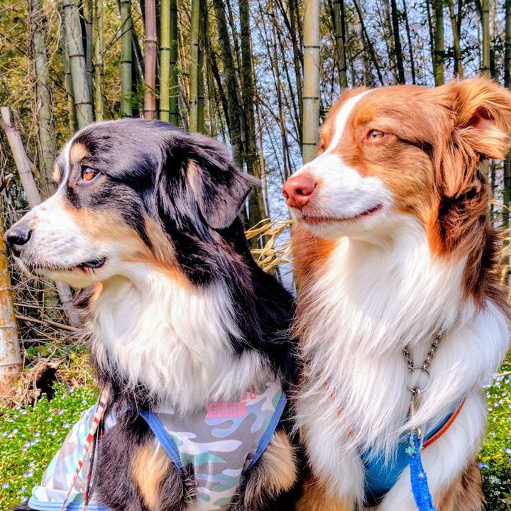 214a4cf6 65e4 49f1 879e cb5e62b15d64 1763206436092