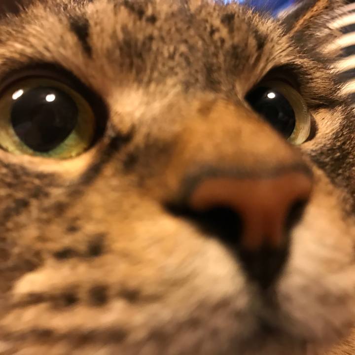 214a721b c328 406c 96d1 34a0126b9316 1564348219807