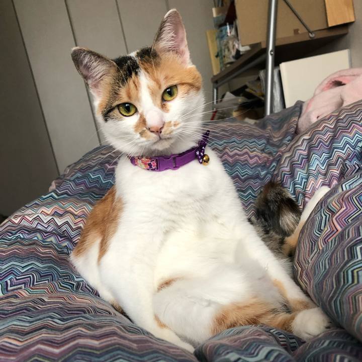 214acbe8 85c3 4d04 a8f4 5f260fceab51 1601506362339