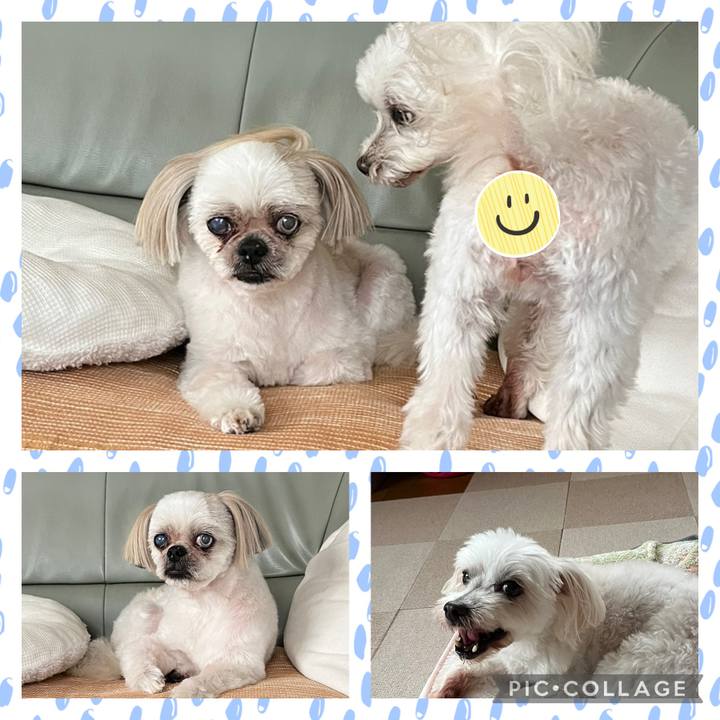 214adbf4 7e70 40e1 85dd d50e603ef5cf 1719812848848