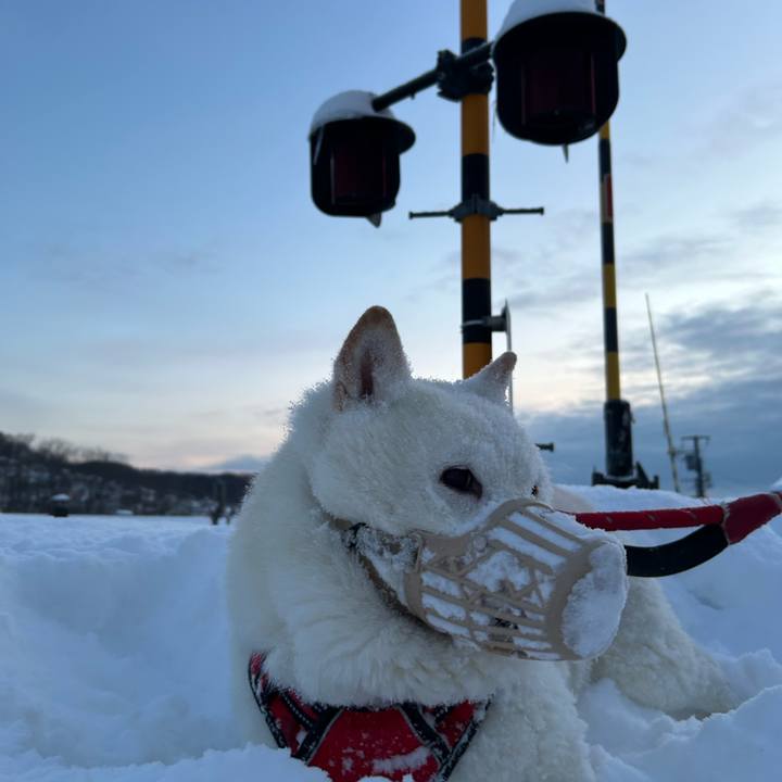 214b192e 143d 4f3d bb9b 0536daff2ed0 1769652307827