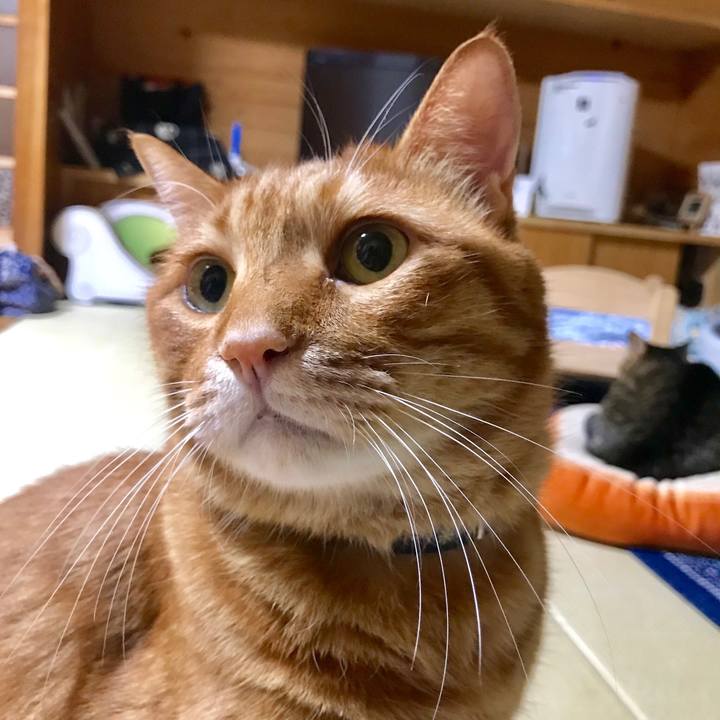 214b51db 7eb4 48a3 829d bc1298c891b0 1531575370887