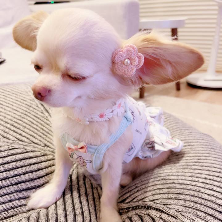 214b8700 da81 42b7 9829 a3d393c205e1 1695385970408