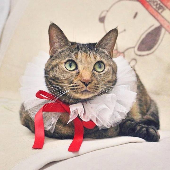 214baec2 3643 428c b476 78426f8df9d1 1556443894040