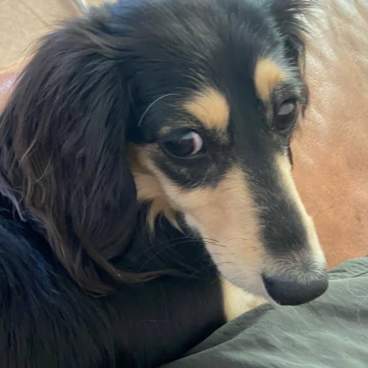 214bd564 f742 4f15 be16 5dc4a92054fa 1715744611804