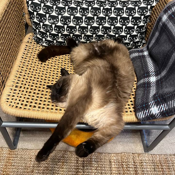 214bd60e 4159 4702 8ccc 79323c8d6428 1655810374567